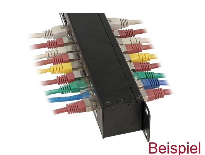 DeLock 19″ Coupler Patch Panel 24 Port Cat.6