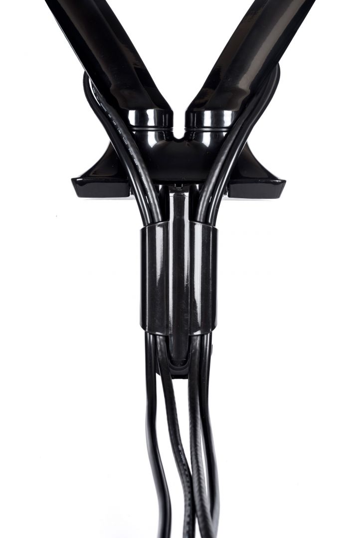 iiyama DS3002C-B1 Sleek and stylish dual gas spring arm