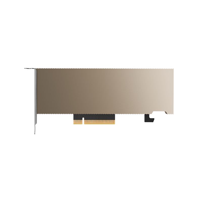 PNY NVIDIA A2 16GB DDR6