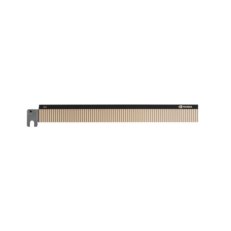 PNY NVIDIA A2 16GB DDR6