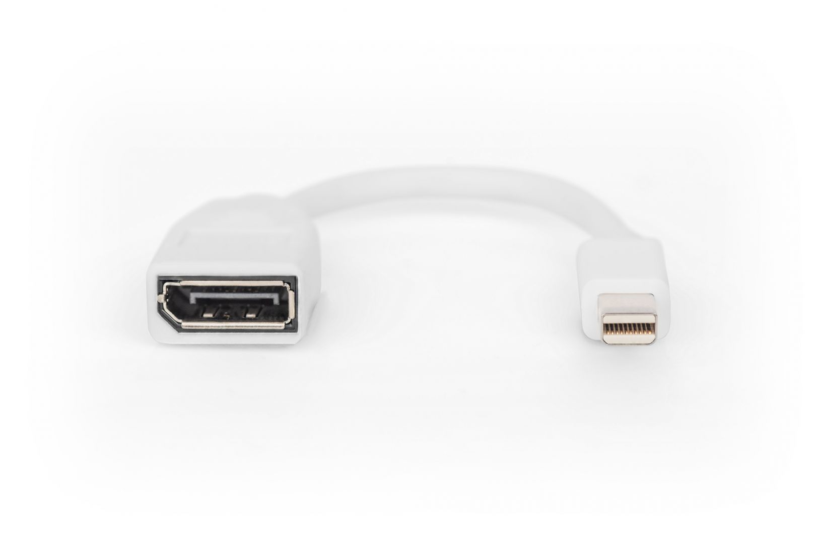 Digitus DisplayPort adapter cable mini DP - DP 0,15m White