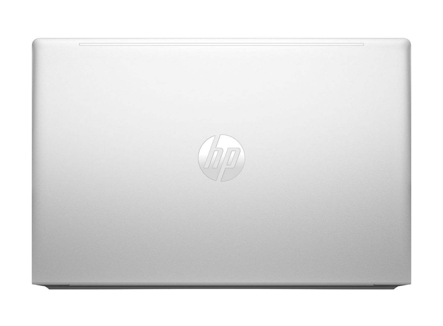 HP ProBook 455 G10 Silver