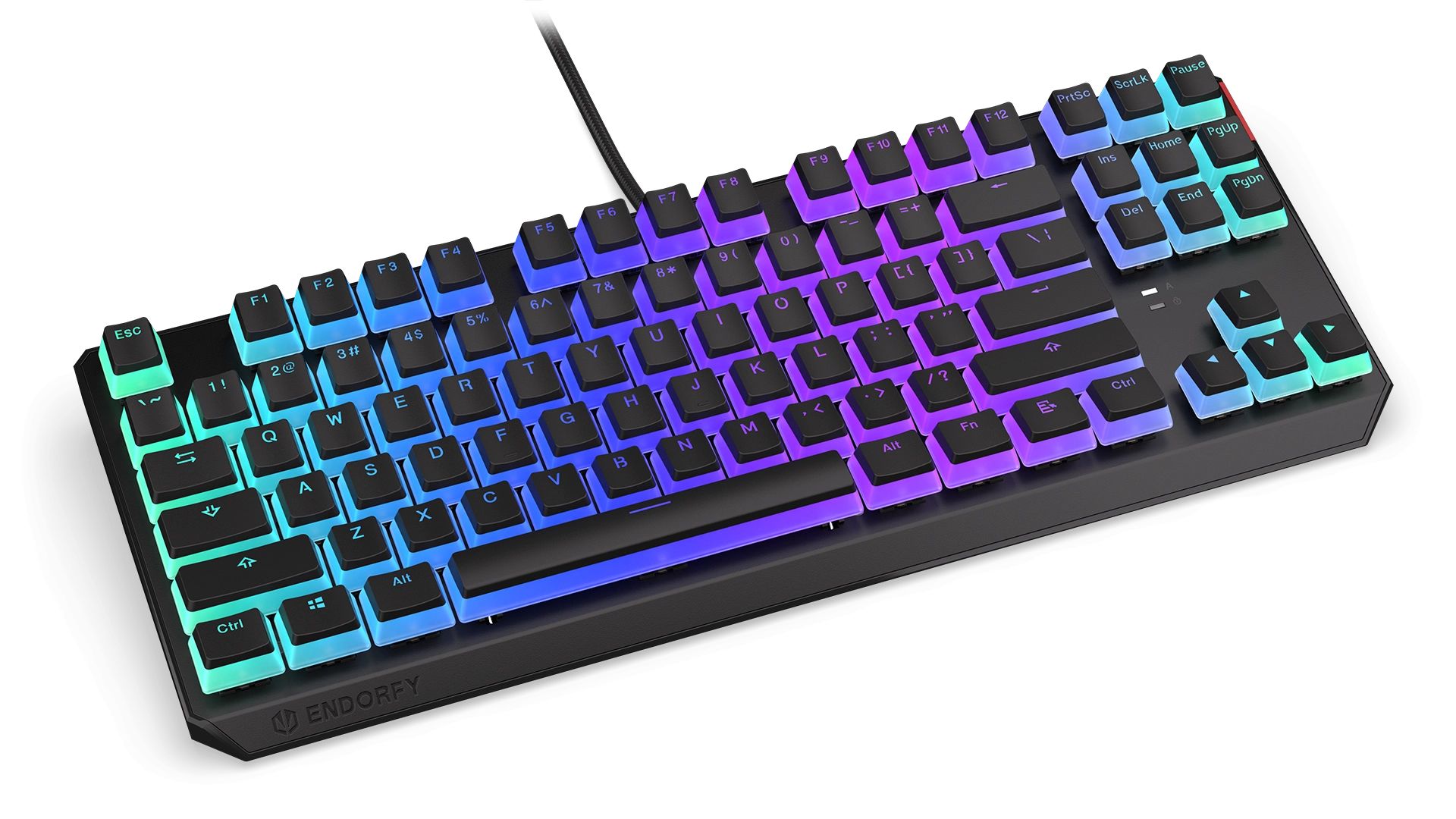 Endorfy Thock TKL Pudding Blue Switch Mechanical Keyboard Black US