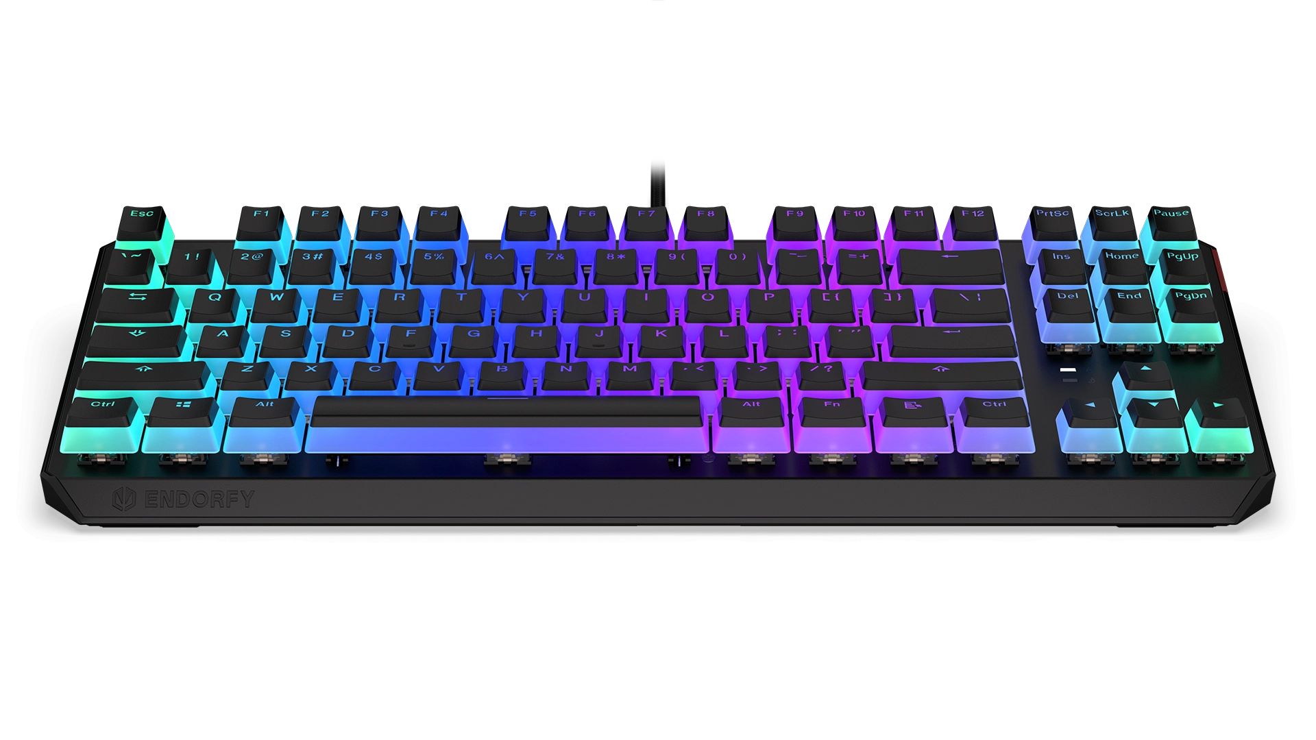 Endorfy Thock TKL Pudding Blue Switch Mechanical Keyboard Black US