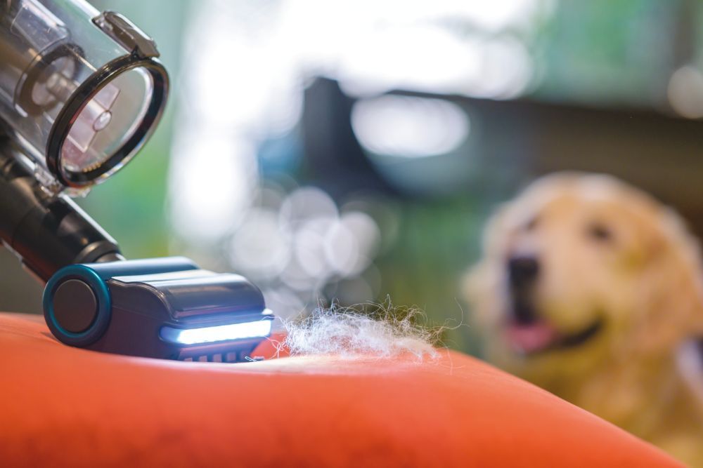 Hoover HF910P 011 Vezeték Nélküli Álló Porszívó Blue