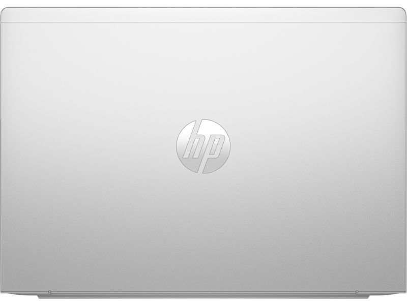 HP ProBook 445 G11 Silver