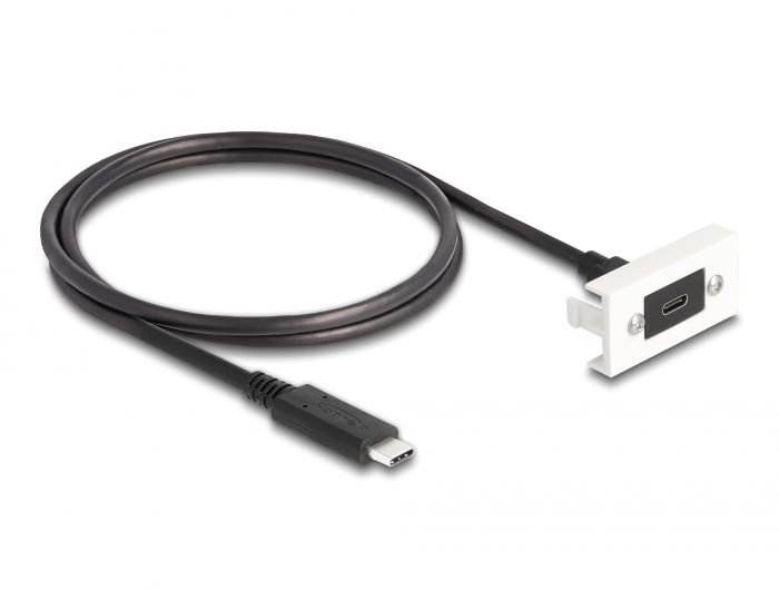 DeLock Easy 45 Module SuperSpeed USB 10 Gbps (USB 3.2 Gen 2) USB Type-C female to USB Type-C male with pigtail