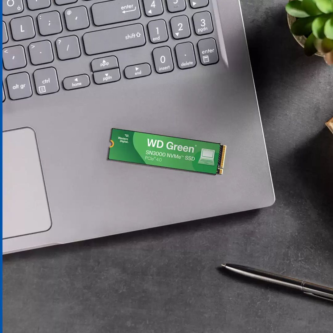 Dell 1TB M.2 2280 NVMe SN3000 Green