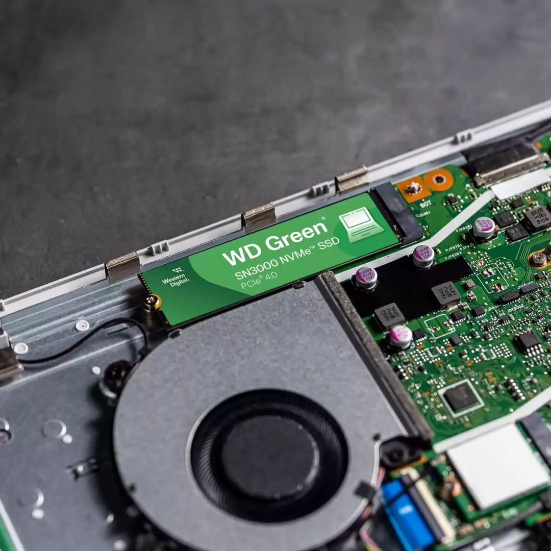 Dell 1TB M.2 2280 NVMe SN3000 Green