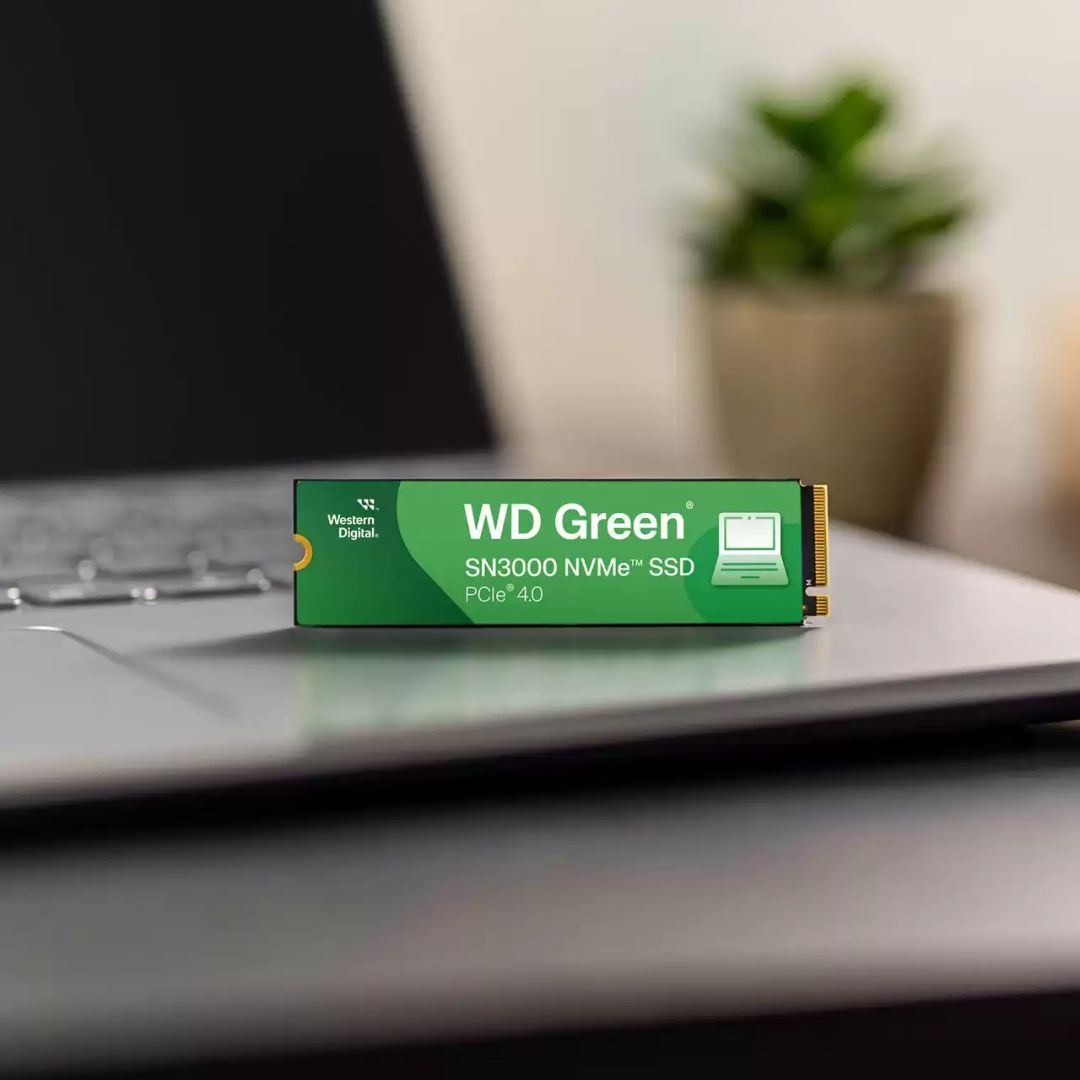 Dell 1TB M.2 2280 NVMe SN3000 Green